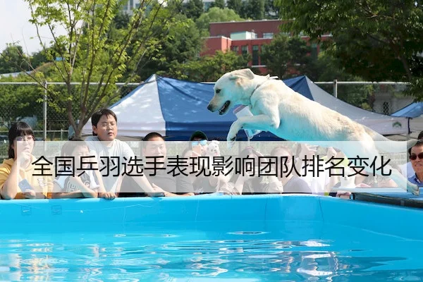 全国乒羽选手表现影响团队排名变化